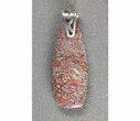 Agatized Dinosaur Bone (Gembone) Pendant #54077-2
